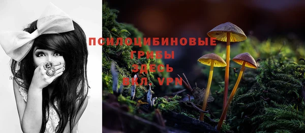 МДПВ Покачи