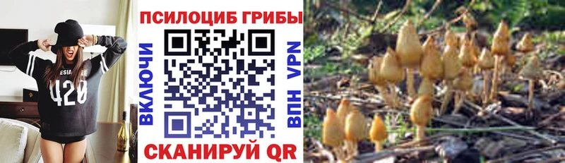 shop какой сайт  Лакинск  Псилоцибиновые грибы ЛСД 